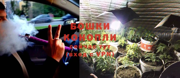 трава Краснослободск