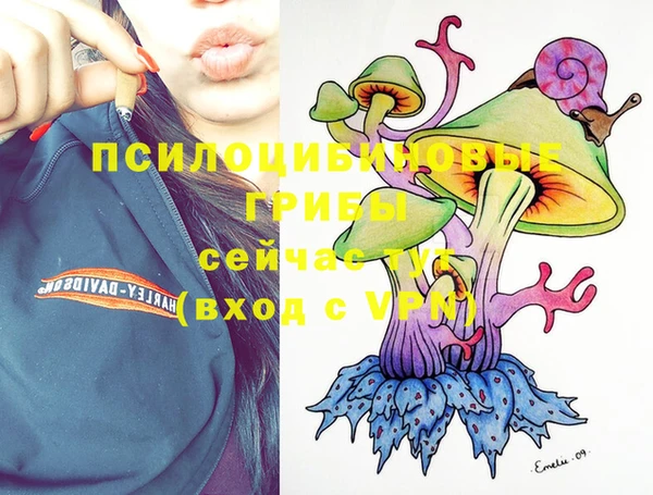 героин Ессентукская