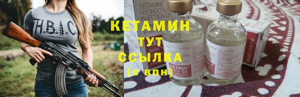 прущие грибы Каменка
